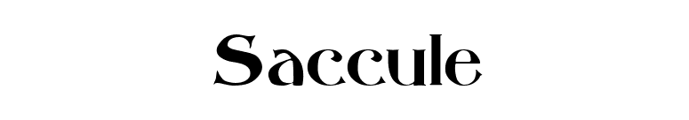 Saccule font preview
