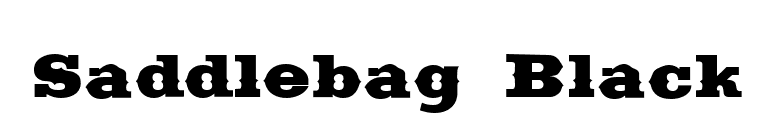 Saddlebag Black font preview