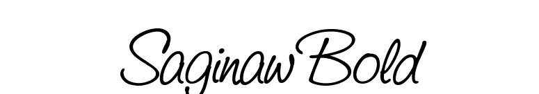 Saginaw Bold font preview