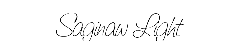 Saginaw Light font preview