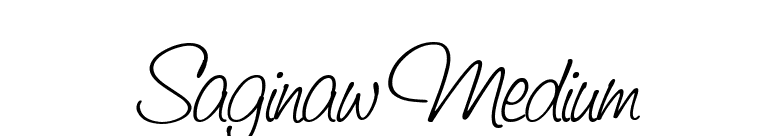 Saginaw Medium font preview