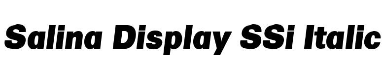 Salina Display SSi Italic font preview
