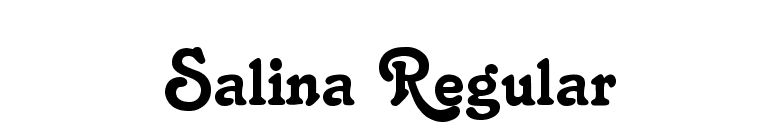 Salina Regular font preview