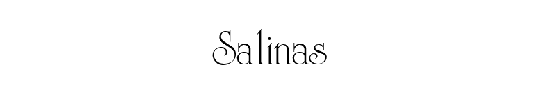 Salinas font preview