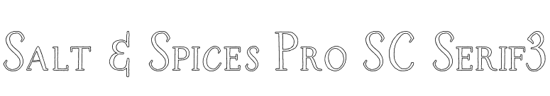 Salt & Spices Pro SC Serif3 font preview