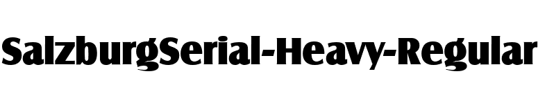 SalzburgSerial-Heavy-Regular font preview