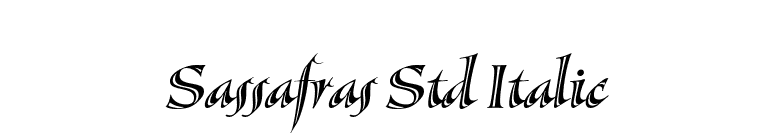 Sassafras Std Italic font preview