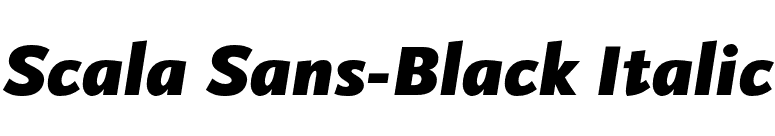 Scala Sans-Black Italic font preview