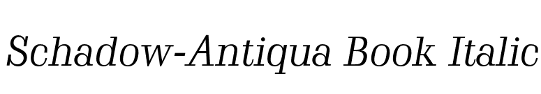 Schadow-Antiqua Book Italic font preview