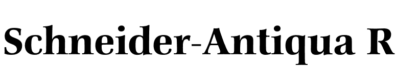 Schneider-Antiqua R font preview