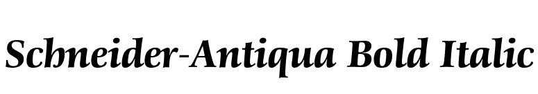 Schneider-Antiqua Bold Italic font preview