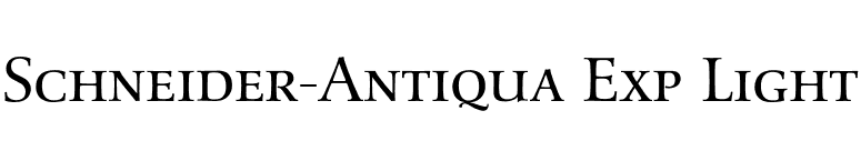 Schneider-Antiqua Exp Light font preview