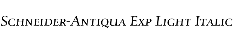 Schneider-Antiqua Exp Light Italic font preview