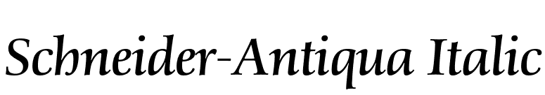 Schneider-Antiqua Italic font preview