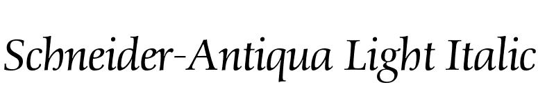 Schneider-Antiqua Light Italic font preview