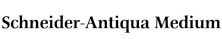 Schneider-Antiqua Medium font preview