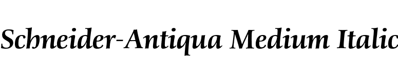 Schneider-Antiqua Medium Italic font preview