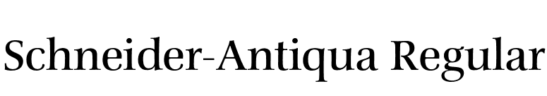 Schneider-Antiqua Regular font preview