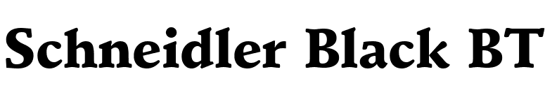 Schneidler Black BT font preview