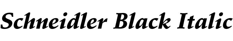 Schneidler Black Italic font preview