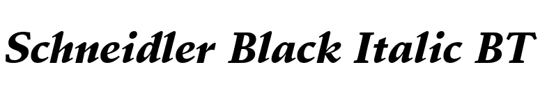 Schneidler Black Italic BT font preview