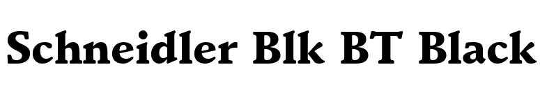 Schneidler Blk BT Black font preview