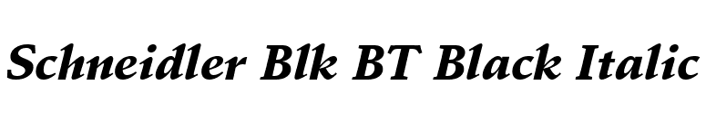 Schneidler Blk BT Black Italic font preview