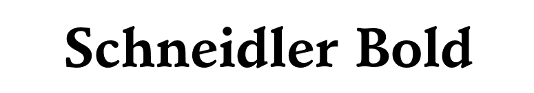 Schneidler Bold font preview