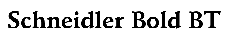 Schneidler Bold BT font preview