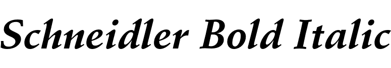 Schneidler Bold Italic font preview