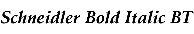 Schneidler Bold Italic BT font preview