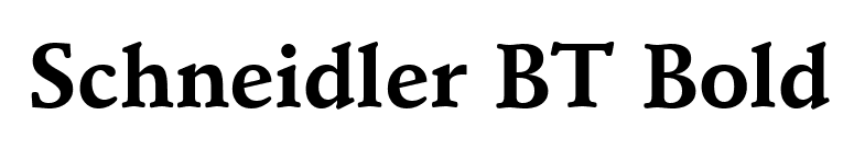 Schneidler BT Bold font preview
