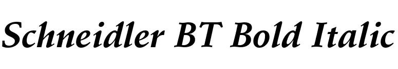 Schneidler BT Bold Italic font preview