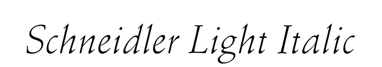 Schneidler Light Italic font preview