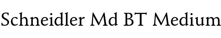 Schneidler Md BT Medium font preview
