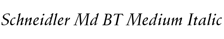 Schneidler Md BT Medium Italic font preview