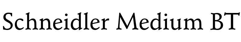 Schneidler Medium BT font preview