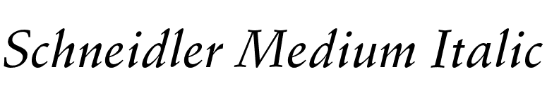 Schneidler Medium Italic font preview
