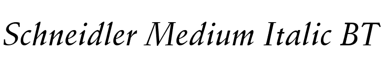 Schneidler Medium Italic BT font preview