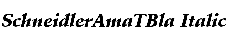 SchneidlerAmaTBla Italic font preview