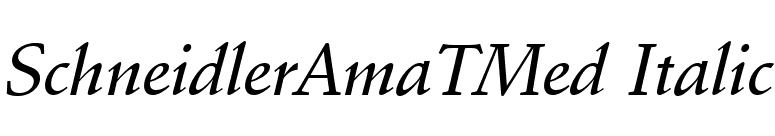 SchneidlerAmaTMed Italic font preview