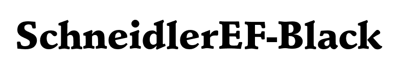 SchneidlerEF-Black font preview