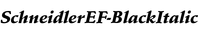 SchneidlerEF-BlackItalic font preview