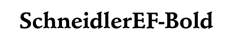 SchneidlerEF-Bold font preview