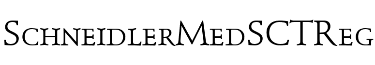 SchneidlerMedSCTReg font preview