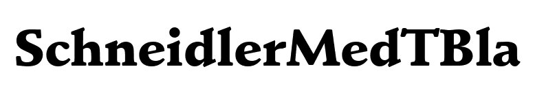 SchneidlerMedTBla font preview