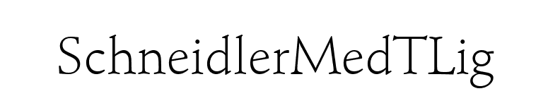 SchneidlerMedTLig font preview