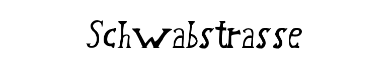 Schwabstrasse font preview