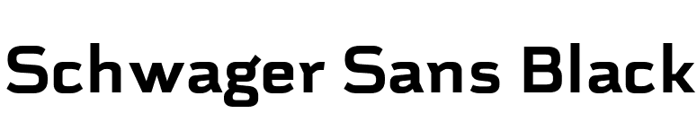 Schwager Sans Black font preview