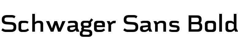 Schwager Sans Bold font preview